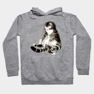 Relax cat Hoodie